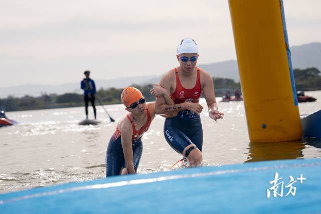 11月27日,肇庆砚阳湖,杨晓婷完成游泳赛段时,已经累得直不起身。 11月27日,肇庆砚阳湖,杨晓婷完成游泳赛段时,已经累得直不起身。