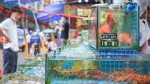 湾区烟火 | 食在广州,你不容错过的8大批发市场! 湾区烟火 | 食在广州,你不容错过的8大批发市场!