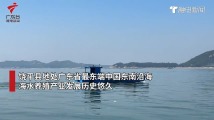 “芯片”鱼、大网箱,潮州正踏浪而行,驶向深蓝丨强信心 稳预期 促发展 “芯片”鱼、大网箱,潮州正踏浪而行,驶向深蓝丨强信心 稳预期 促发展