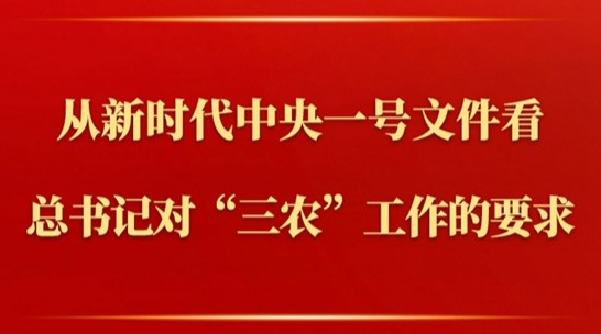第一观察｜从新时代中央一号文件看总书记对“三农”工作的要求