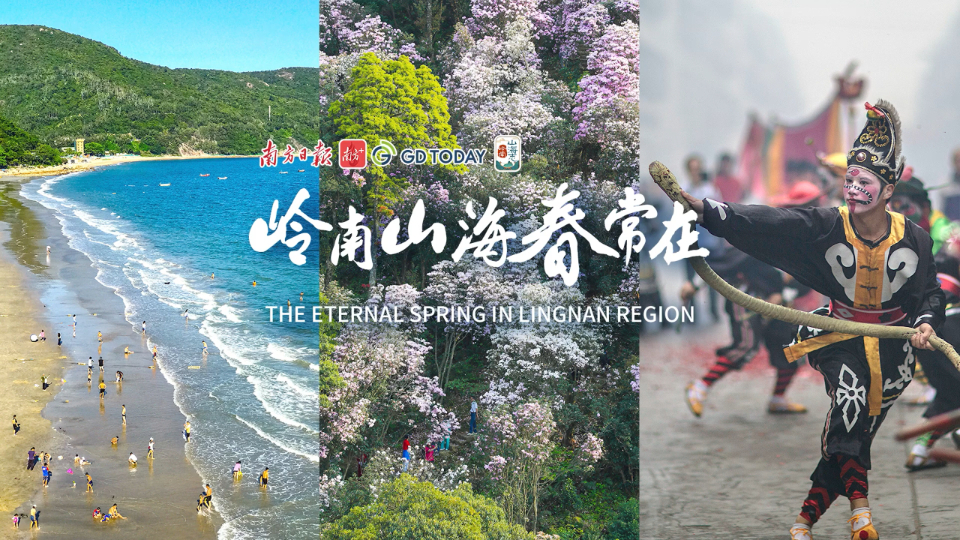 Video | The eternal spring in Lingnan Region