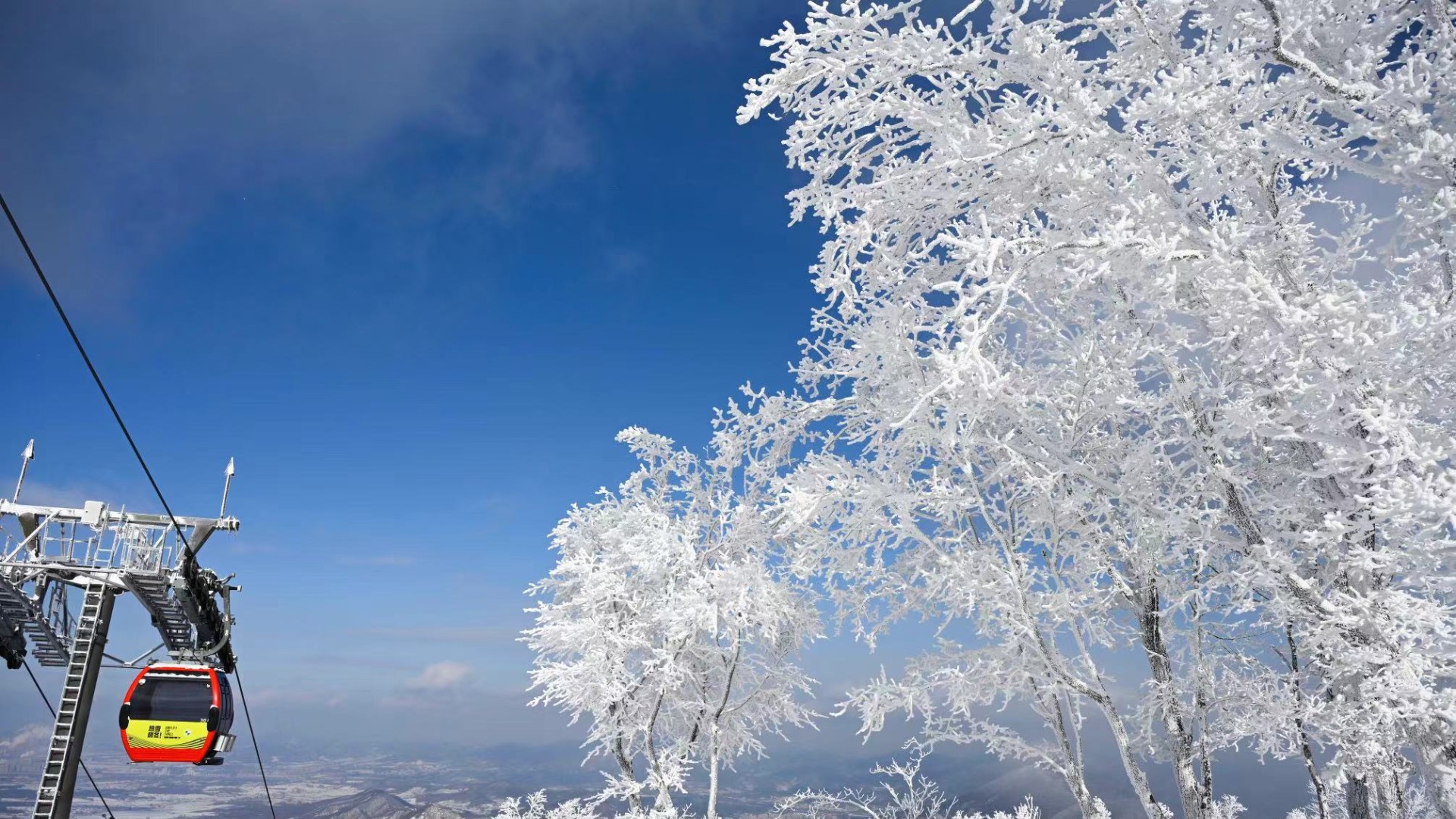 Will your contact lenses freeze in a cold environment?