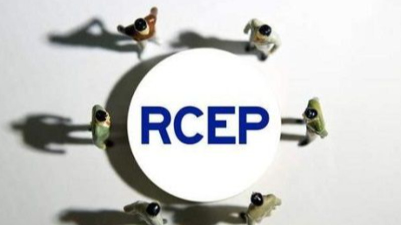 广东云浮·RCEP成员国粤商联盟经贸合作交流会举行