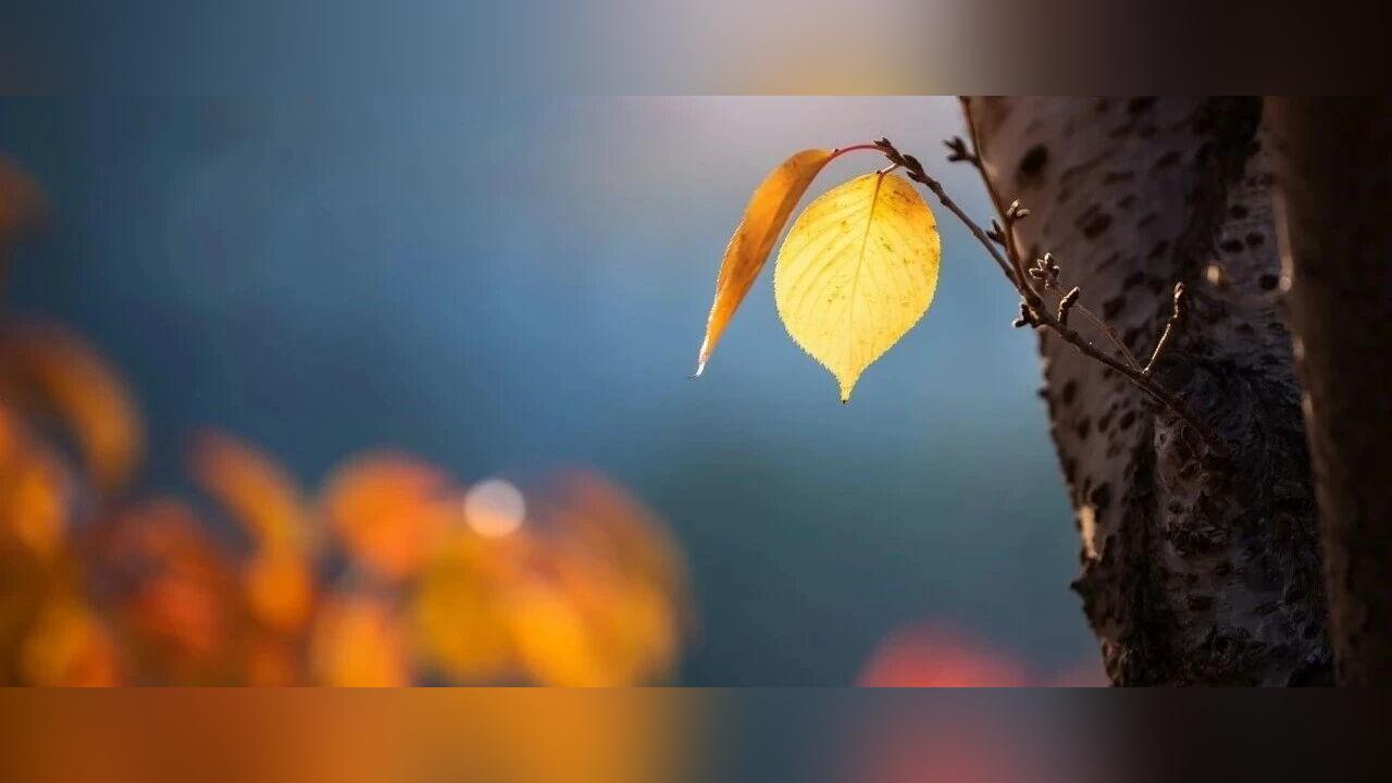 家长必看！5个小技巧，唤醒孩子的“内驱力”