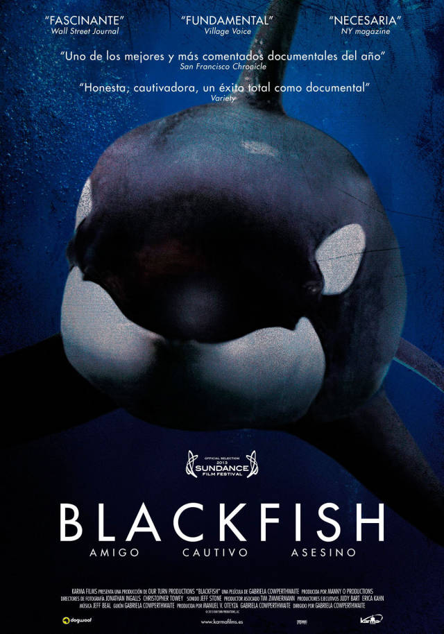 电影《黑鲸》海报。素材来源于网络