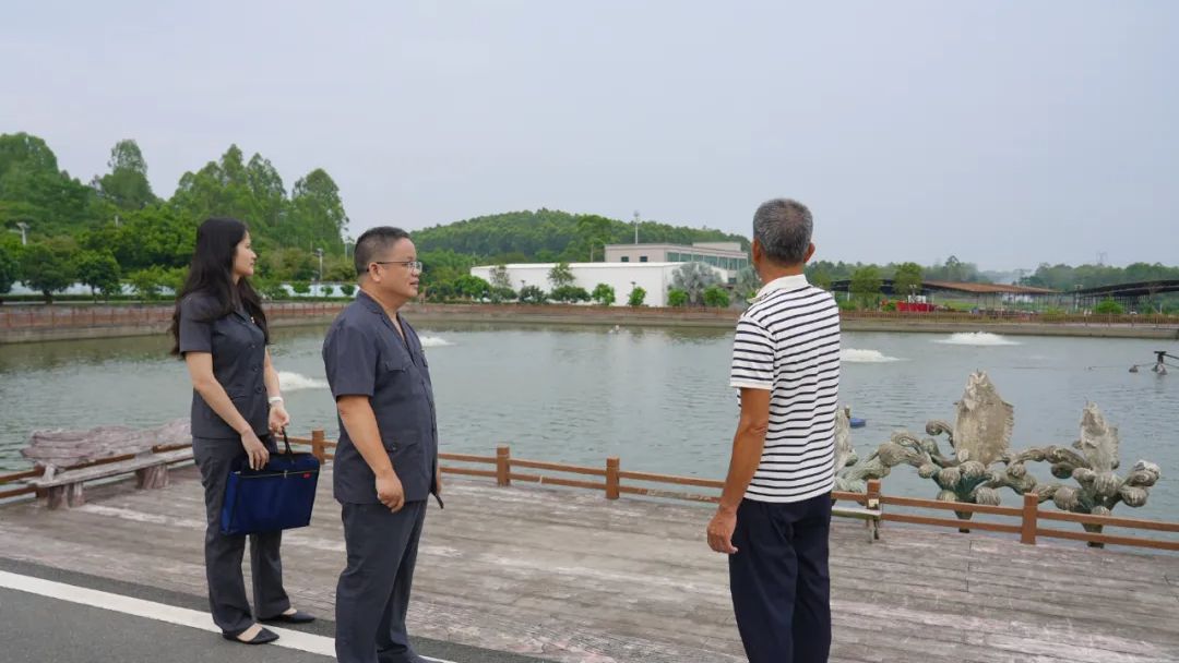 10天，巧解6家企业“连环债”！