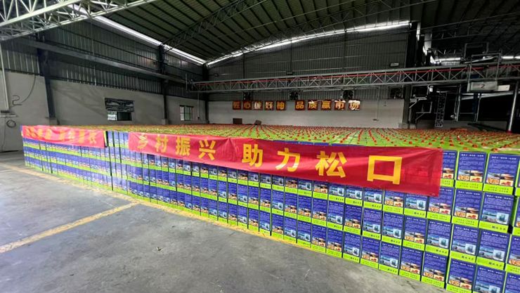 【国资国企社会价值】旅游控股集团多管齐下，以消费帮扶助力铜琶村蜜柚畅销大湾区