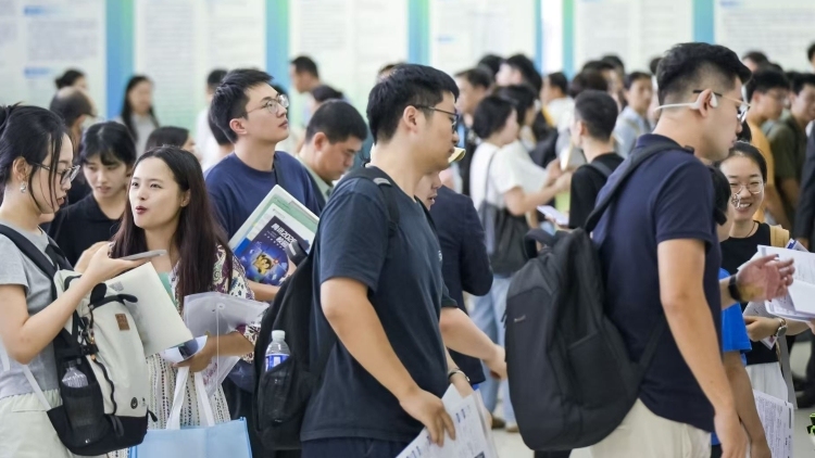 中山多个镇街集中投放一批事业编制岗位｜在+求职