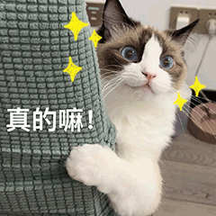 粤省事_20230706_161630.gif