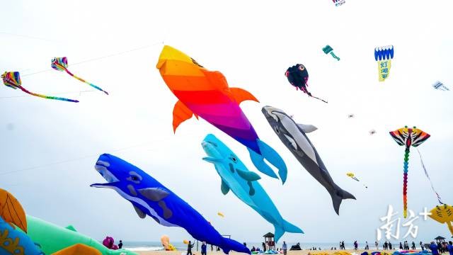 Colourful skies as Yangjiang hosts record-breaking international kite festival
