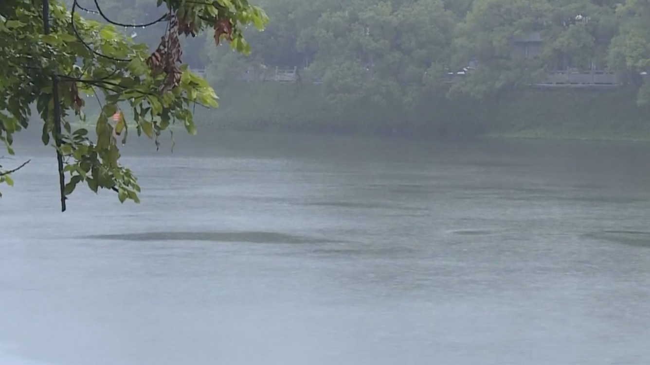 台风“蝴蝶”携风带雨登陆广东，省水利厅全力防御应对