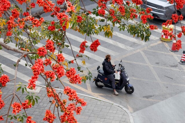 New cold wave to bring temp down 5-8℃ on March 18 and 19