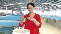 全国五一劳动奖章获得者吴凤英:用“绿色”擦亮水产养殖发展底色 全国五一劳动奖章获得者吴凤英:用“绿色”擦亮水产养殖发展底色