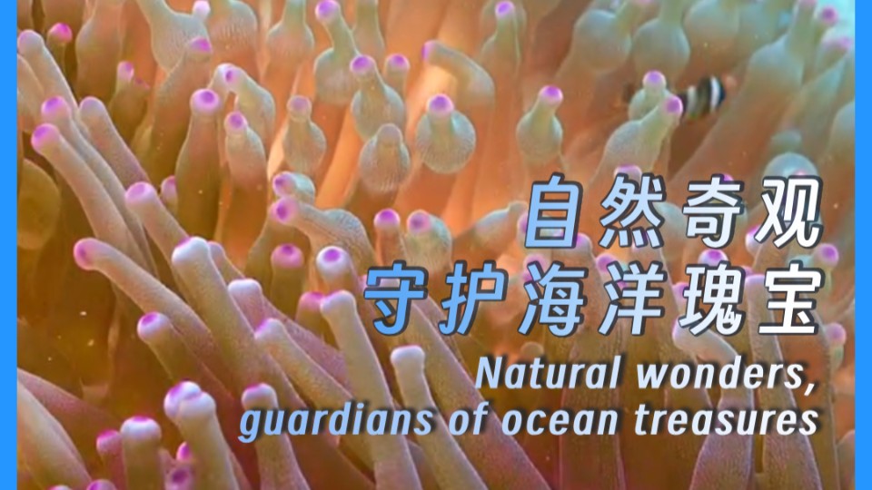 Natural wonders, guardians of ocean treasures