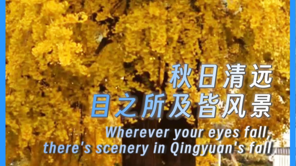 Wherever your eyes fall, there's scenery in Qingyuan's fall