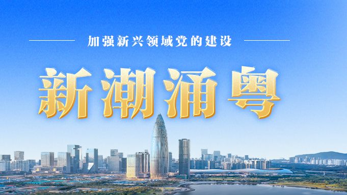 区域党组织如何发挥好“两个作用”？学员们有话说！