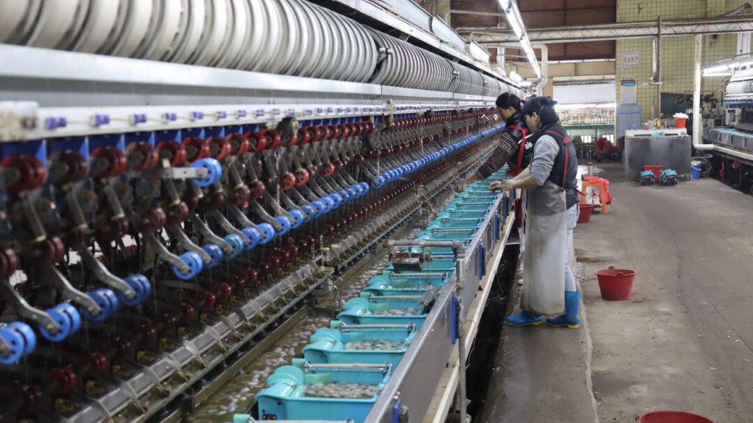 一组税务数据，折射广东县域经济的突围之道｜区域观察