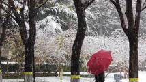 此次厄尔尼诺事件将持续至明春!未来几天北方降雪致灾风险高 此次厄尔尼诺事件将持续至明春!未来几天北方降雪致灾风险高