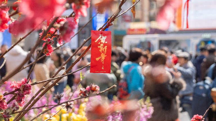 欢喜过大年 一起拼未来——春节观察