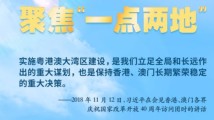 学习导读 | 打造高质量发展示范地,习近平心系粤港澳大湾区建设 学习导读 | 打造高质量发展示范地,习近平心系粤港澳大湾区建设