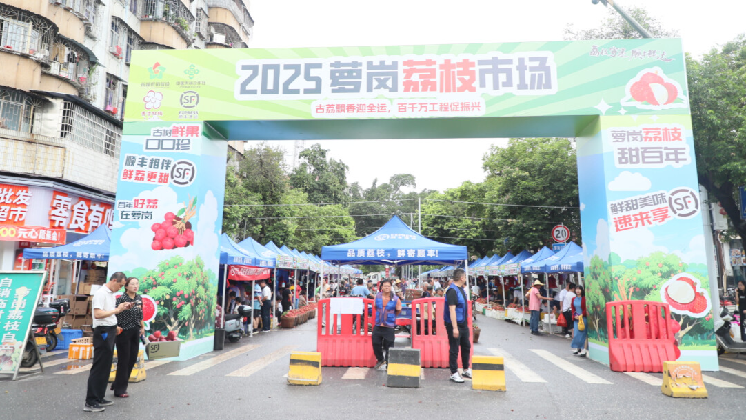 广州黄埔近600年历史的萝岗荔枝市场火热开市