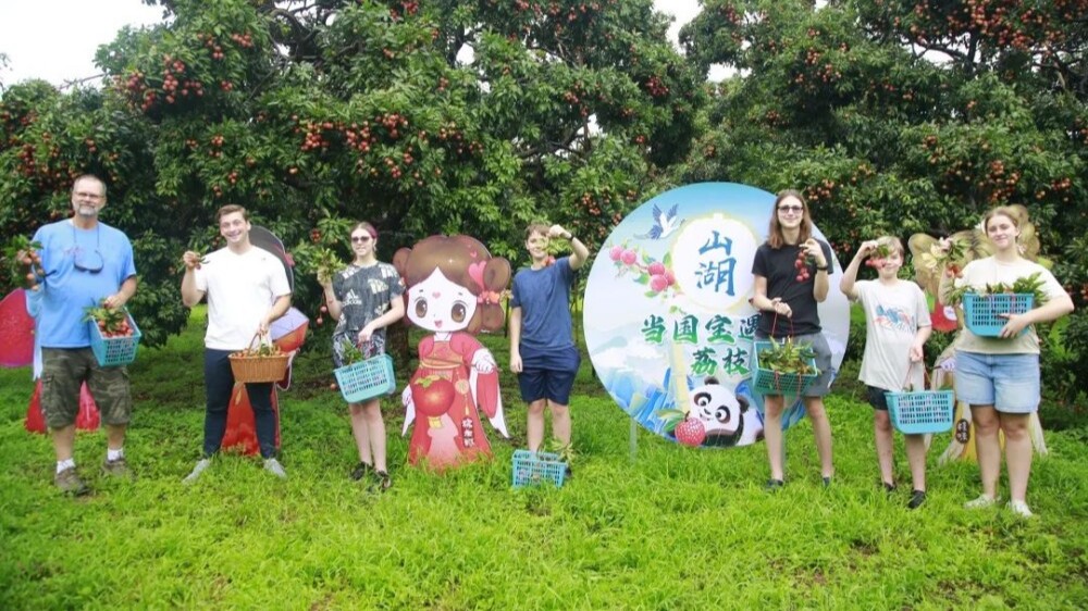 Foreign family joins the sweet journey of Dongguan lychees