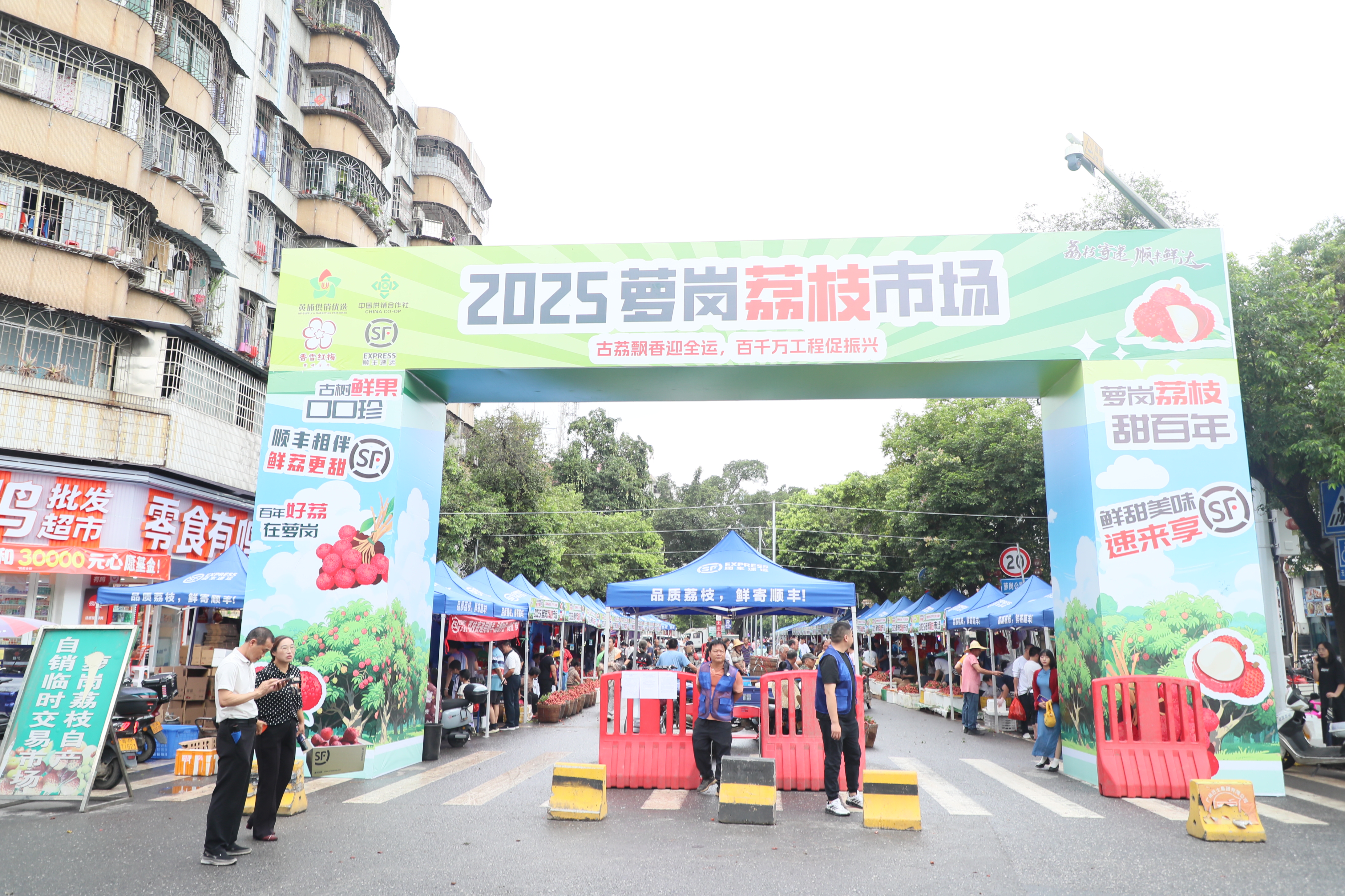 廣州黃埔近600年歷史的蘿崗荔枝市場(chǎng)火熱開市