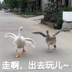 粤省事_20240313_152744.gif