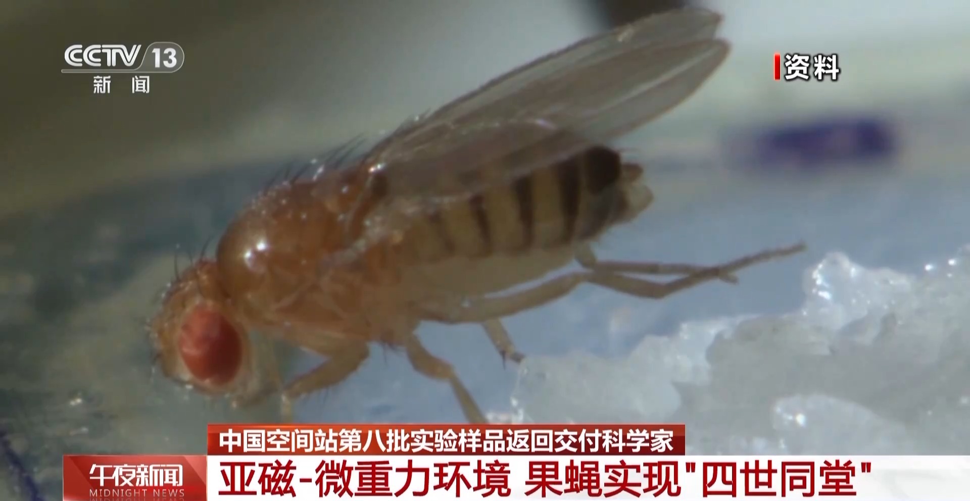 俄總統(tǒng)簽署法令 對(duì)友好國(guó)家放寬涉石油限價(jià)供應(yīng)限制