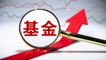 消失的基金销售“开门红”:明星基金经理也只卖出个位数 消失的基金销售“开门红”:明星基金经理也只卖出个位数
