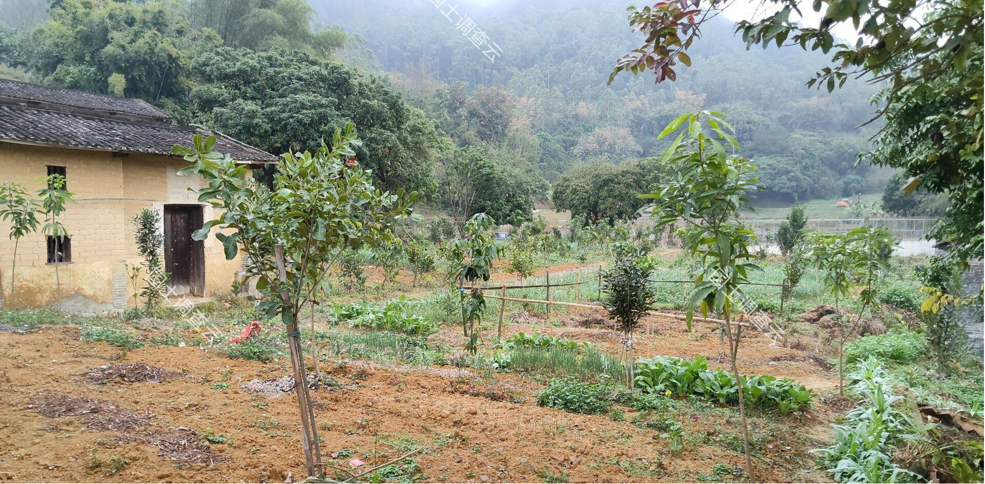 喜讯！云城区一拆旧复垦项目复垦指标成功交易