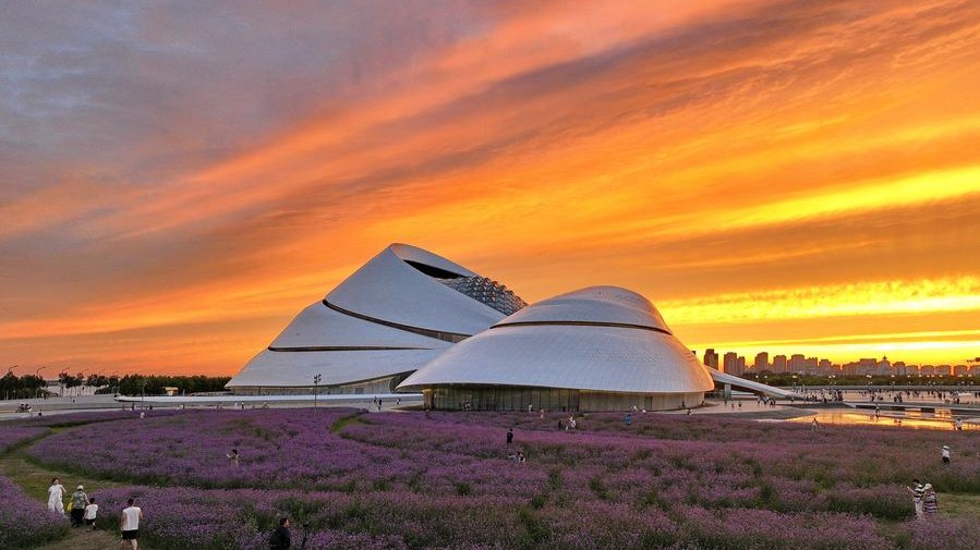 Summer tourism booms in NE China's Harbin
