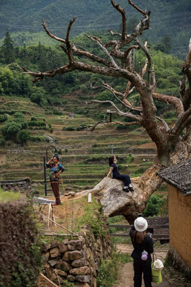 ▲后畲村，村民与留影的游客