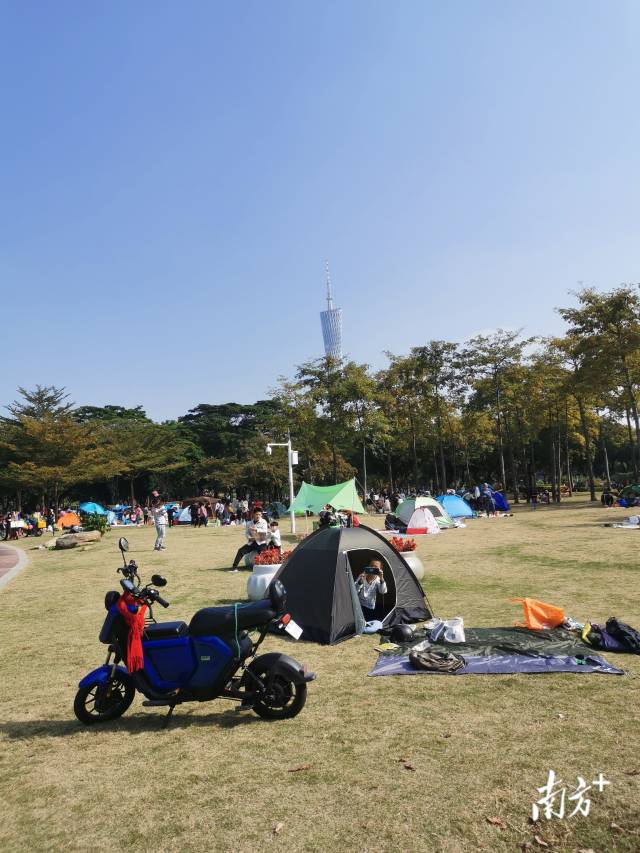 广州二沙岛公园，每逢周末，大批市民前来体验搭帐篷的休闲方式。