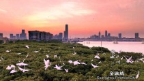 Picturesque aerial view of downtown Guangzhou