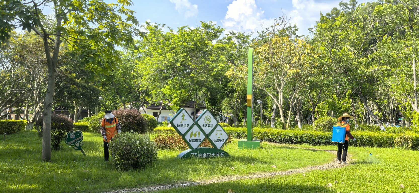 云城区城管执法局：多措并举筑牢蚊媒传染病防控线