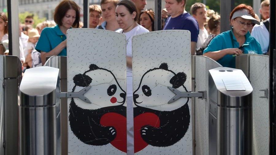 China's giant pandas draw world attention from national treasure to global cultural icon