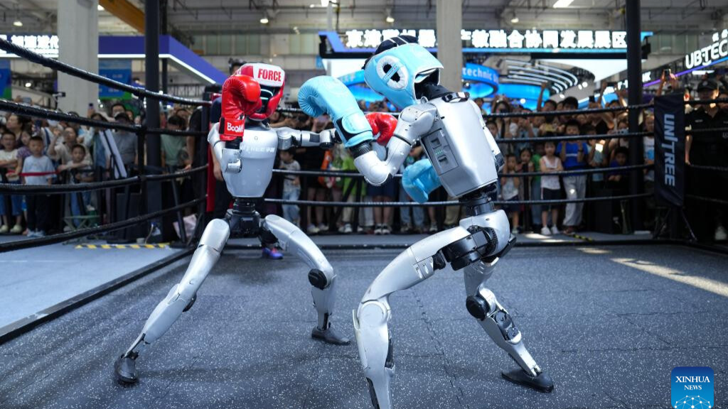 Visitors experience various robotic application scenarios at 2025 World Robot Conference in Beijing
