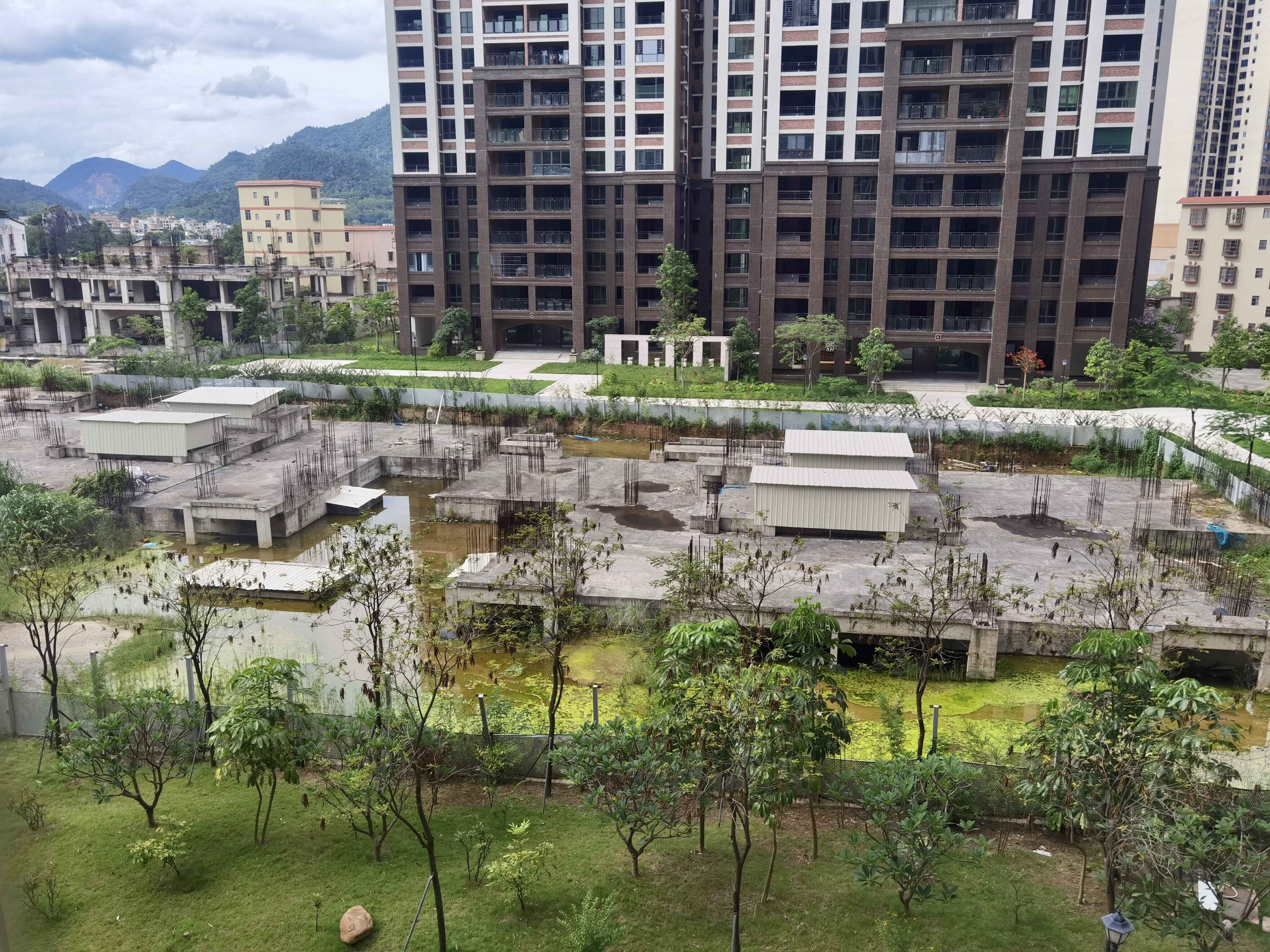 云城区住建部门：紧急部署整改 多措并举防控蚊媒疾病‌
