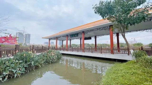 Spending 20 minutes in parks in Guangzhou's Panyu to reduce stress ...