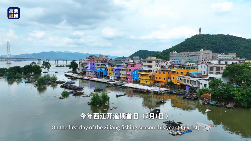 Fishing festival awaits you in Zhaoqing's Gaoyao on July 1st