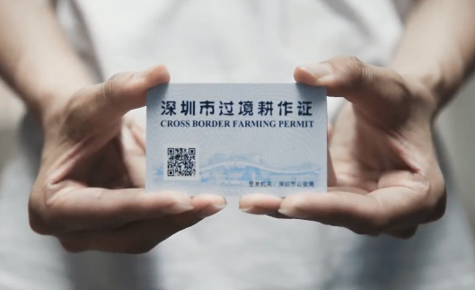 Micro documentary | Shenzhen story behind the cross border farming permit
