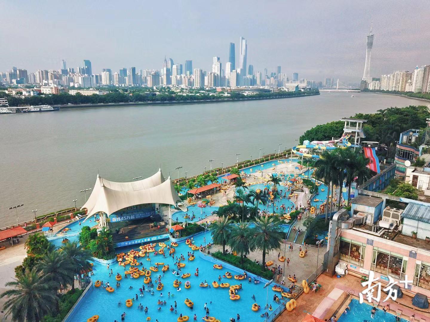 周末，广州高温天气持续，许多市民选择游泳解暑。南方+记者 张迪 实习生 肖楚瀚 陈辅新 摄影报道