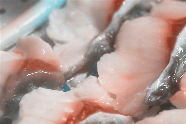 Incredible! This place in Guangdong has developed more than 200 ways for cooking fish!