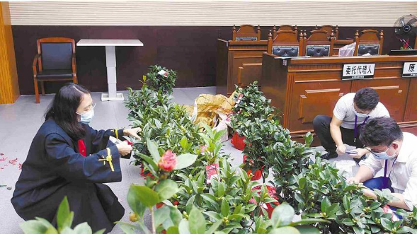 广东加强新兴领域知识产权保护 为数字经济和种业创新提供司法支撑