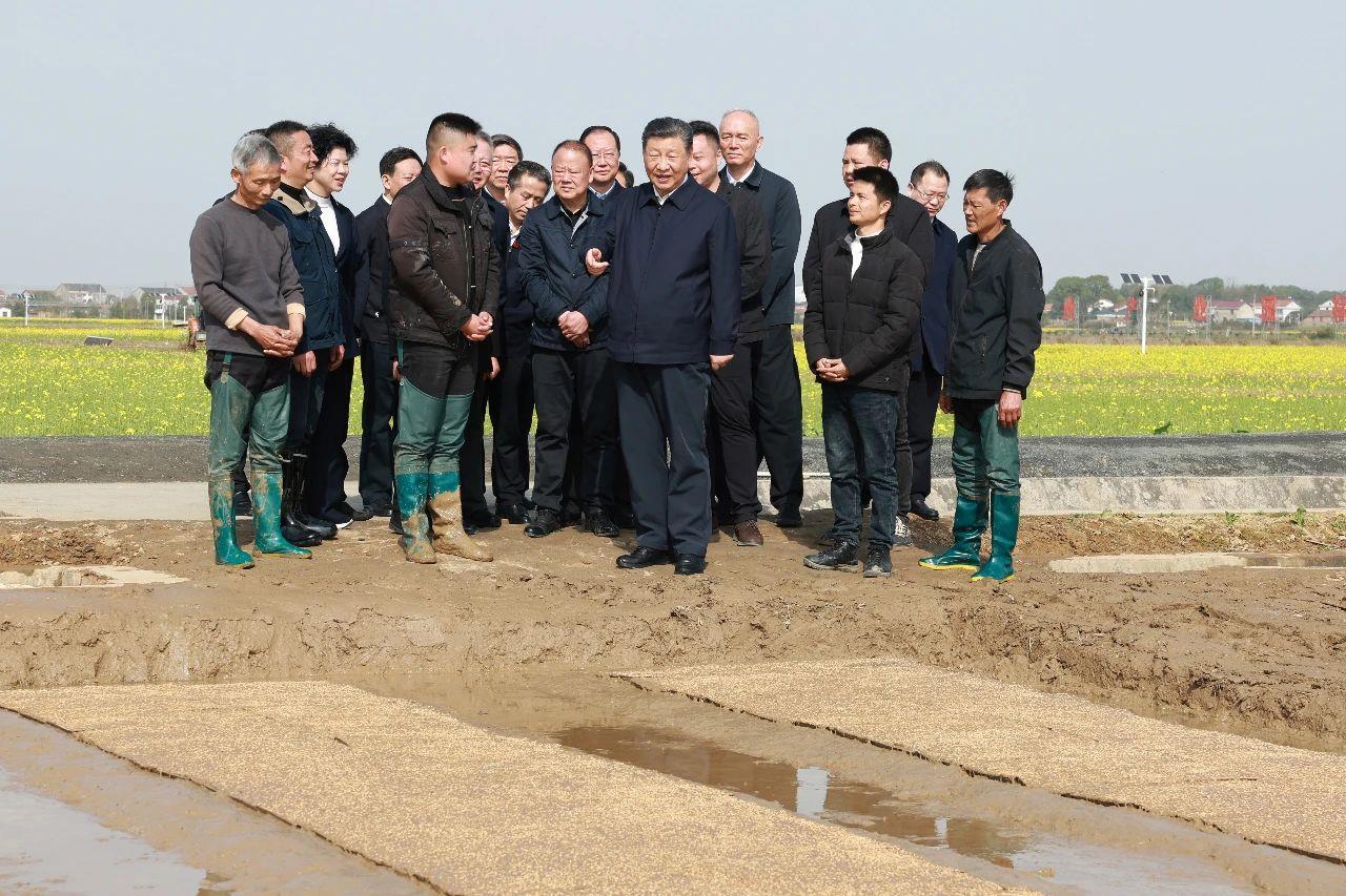 △2024年3月19日，习近平总书记在湖南常德鼎城区谢家铺镇港中坪村，察看秧苗培育和春耕备耕进展。