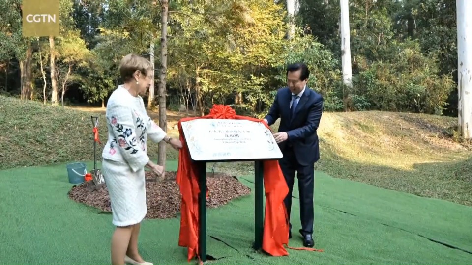 Guangdong-New South Wales partnership expands into new industries