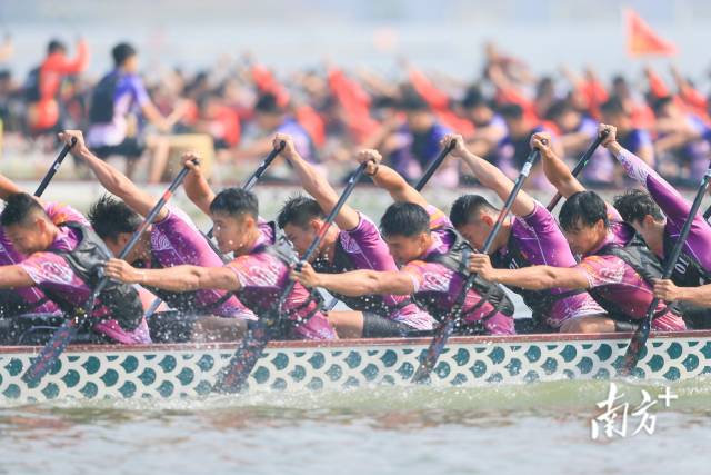 以乐从罗浮宫龙舟队为代表，“顺德龙”征战国内外赛事，屡获佳绩。活动方供图 