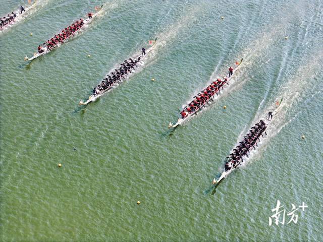 赛事汇聚40支全国顶尖龙舟队。活动方供图 