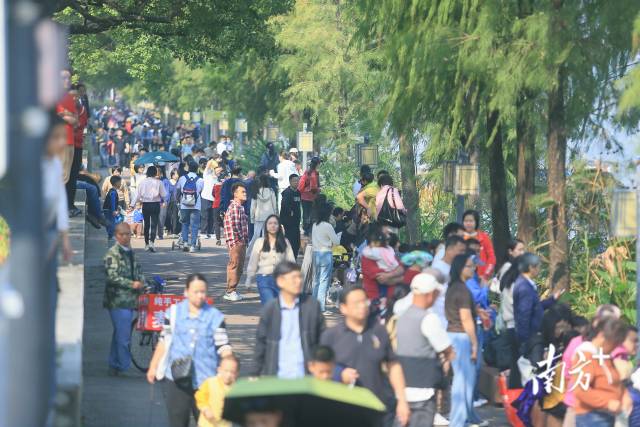 来顺德，解锁“龙舟+”丰富体验。活动方供图 